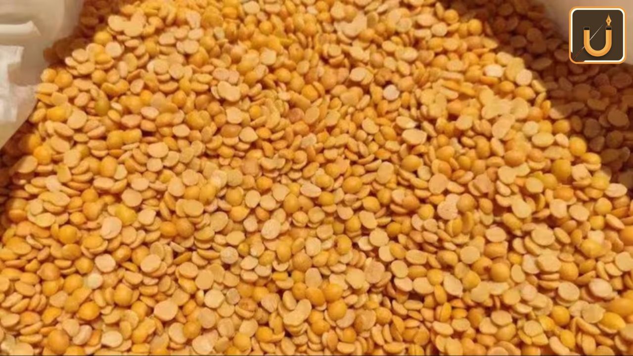 Usthadian Academy / Amit Shah Launches Tur Dal Procurement Portal For Farmers | 06 jan 2024 Usthadian Academy / Amit Shah Launches Tur Dal Procurement Portal For Farmers